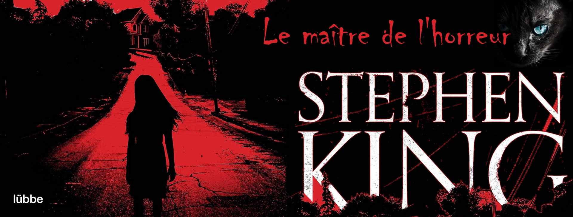 Montage tiré de la couverture de l’édition allemande Lübbe (2013) de Carrie et de l’édition Albin Michel 2011 de Simetierre.